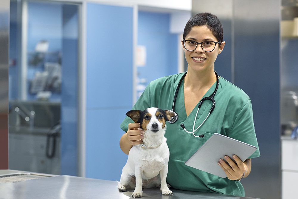 study guide for veterinary technician national exam