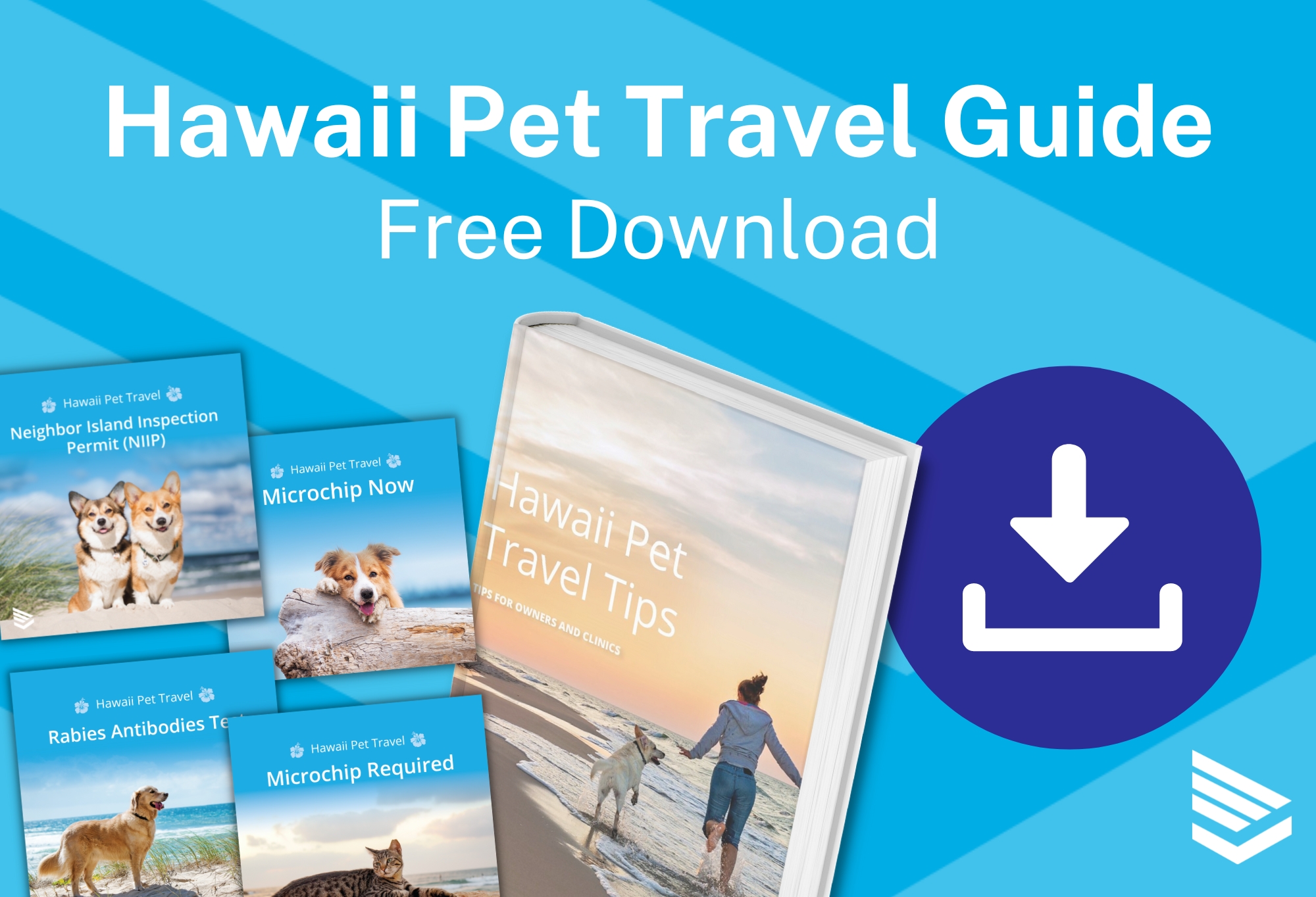 hawaii pet travel checklist