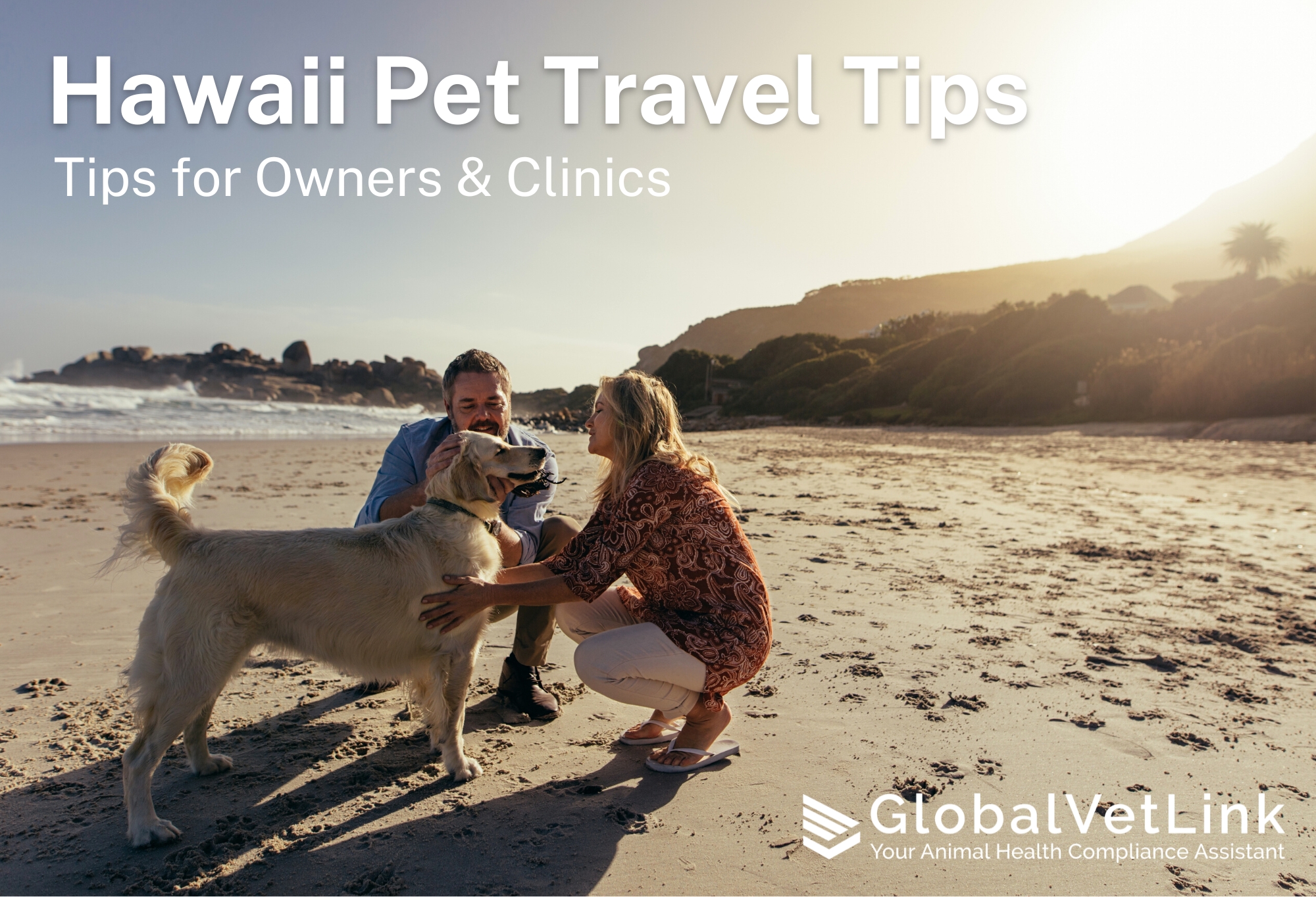 pet travel to hawaii requirements