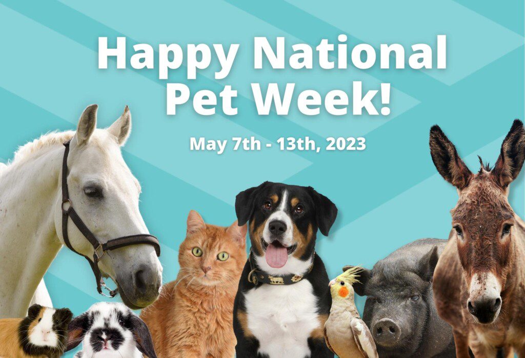 Happy National Pet Week! GlobalVetLink