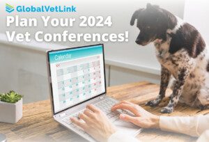 Plan Your Veterinary Conferences 2024 GlobalVetLink   Vet Conference Graphic 1 300x204 